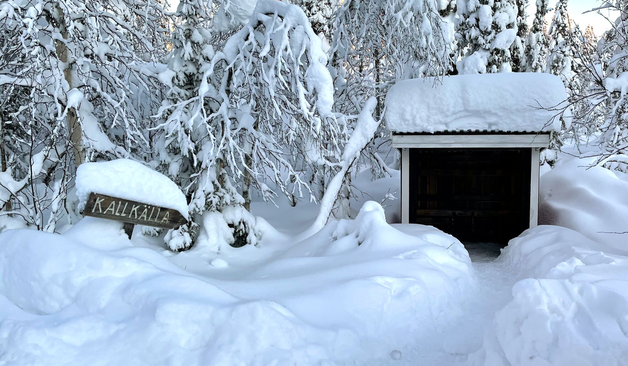 Natur i Kronogård